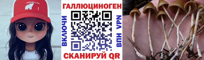 цены наркотик  darknet какой сайт  Псилоцибиновые грибы GOLDEN TEACHER  Сибай 